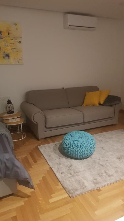 S & F Zagreb Apartman Buitenkant foto